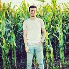 mohamed mohsen