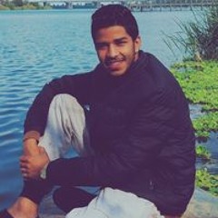 Awni Ahmed Shehata