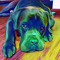 Nero the Corso
