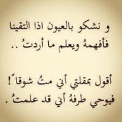 Shery S Makhlouf