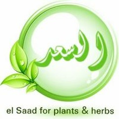El Saad Herbs