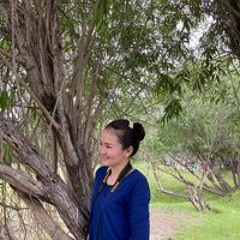 Батчулууны Солонго