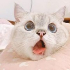 에ㅔ에ㅔ엥엥