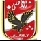 احمد عماد السلطه