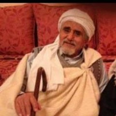 محمد ابو سلمى الشاذلى