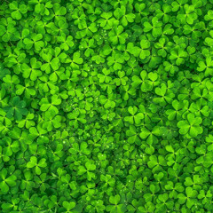 Clover Green