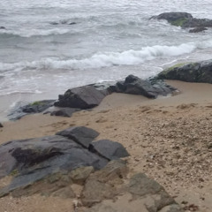 tobemyselfcompletely