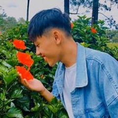 Huyy Tùng