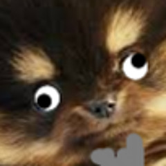 Duggie LC