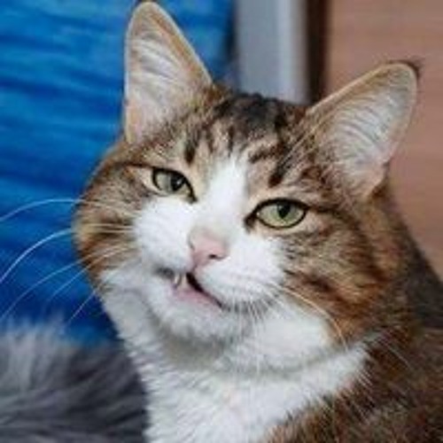 List Nhạc Trung Tâm Trạng  _ Tuyển Chọn Nhạc Trung Hay Nhất Của Vương Tĩnh Văn Không Mập  ♫ (128 kbp