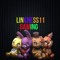 linkness11gaming
