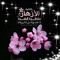 دانيه خرابشة