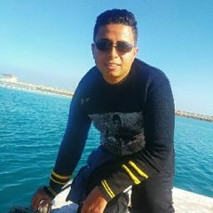 ahmed nasr