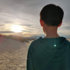 Brayden Wang
