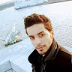 Farok Ameen Bisrik