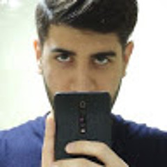 Sina Zarkar