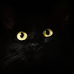 shadowcat