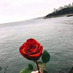 nihal