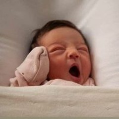 Shahd Nasser