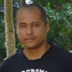 Ms100limites
