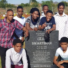 Reginald Luigi Swartbooi