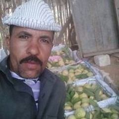 مجدى