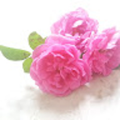 user321040808