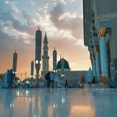 haneenharraz