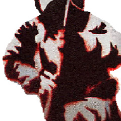 Hunted Rogue