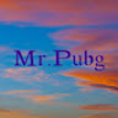 Mr. Pubg