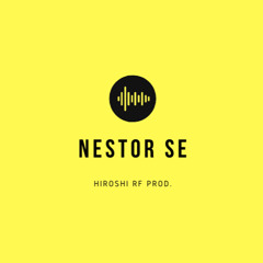Nestor SE