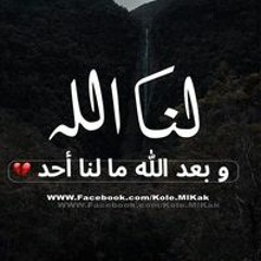 Ahmed Abdelsamee
