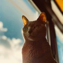 User 140309015