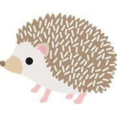 ハリネズミ