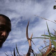 Gregory Kapuni
