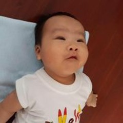 Le Tran