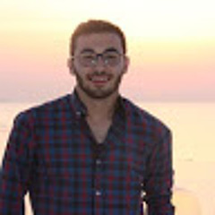 Mohamed ahmed 18P3991