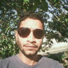 Everton Silveira