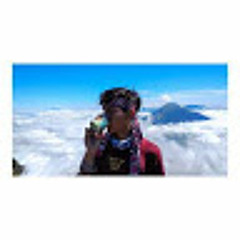 Vimal