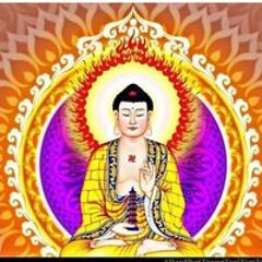 Tuyet Phan Thi