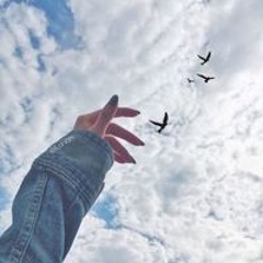 zynab