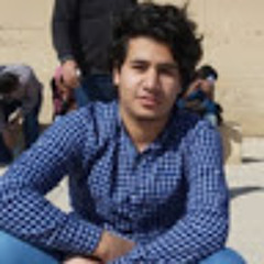 Mohamed Ghoneim