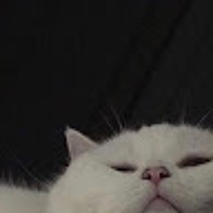 u didnt have to cut me off (tiktok meme)