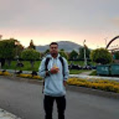 Adonis Quiñones Arias