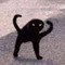 Black Cat