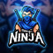 Ninja Gaming World