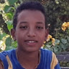 محمد مجدي محمود القللي