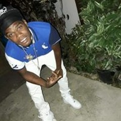 SmallDog Destin