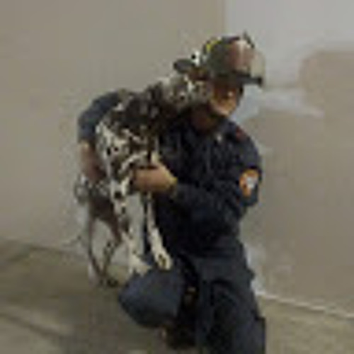 Stream Jose Camilo Trujillo music Listen to songs, albums, playlists