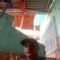 Leonardo Gomes